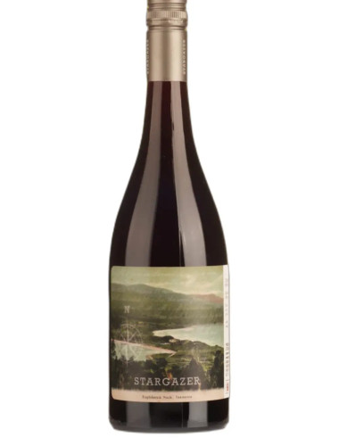 Stargazer Palisander Vineyard Pinot Noir 2024