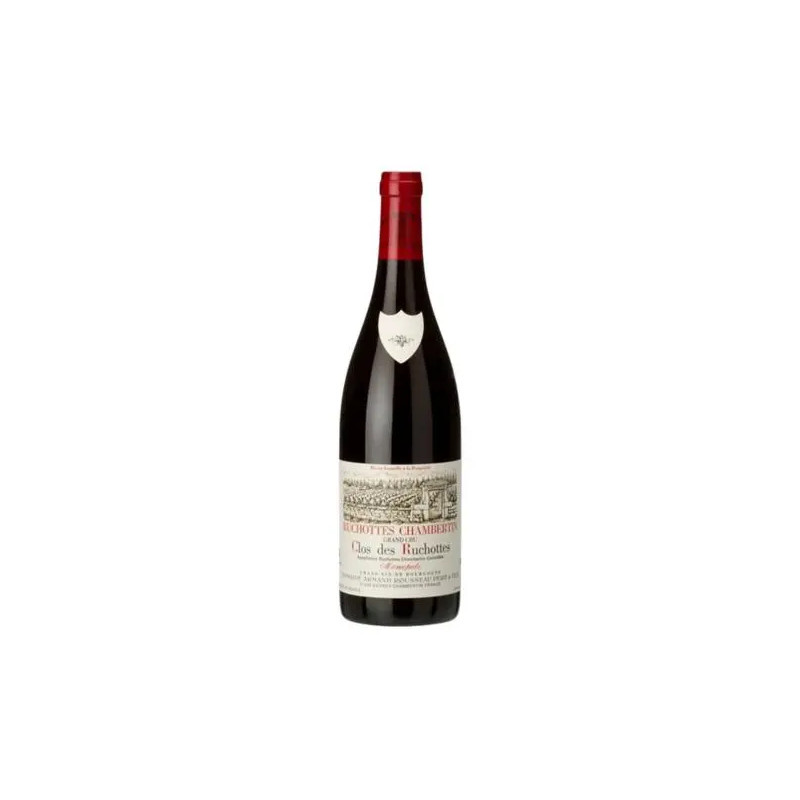 Domaine Armand Rousseau - Ruchottes-Chambertin Grand Cru 'Clos Ruchottes' - 2019