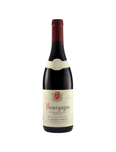 Alan Hudelot Noellat Bourgogne Rouge 2021 750ml