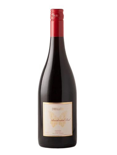 2024 Bindi DHILLON Glenhope Macedon Ranges Accidental Red 750ml