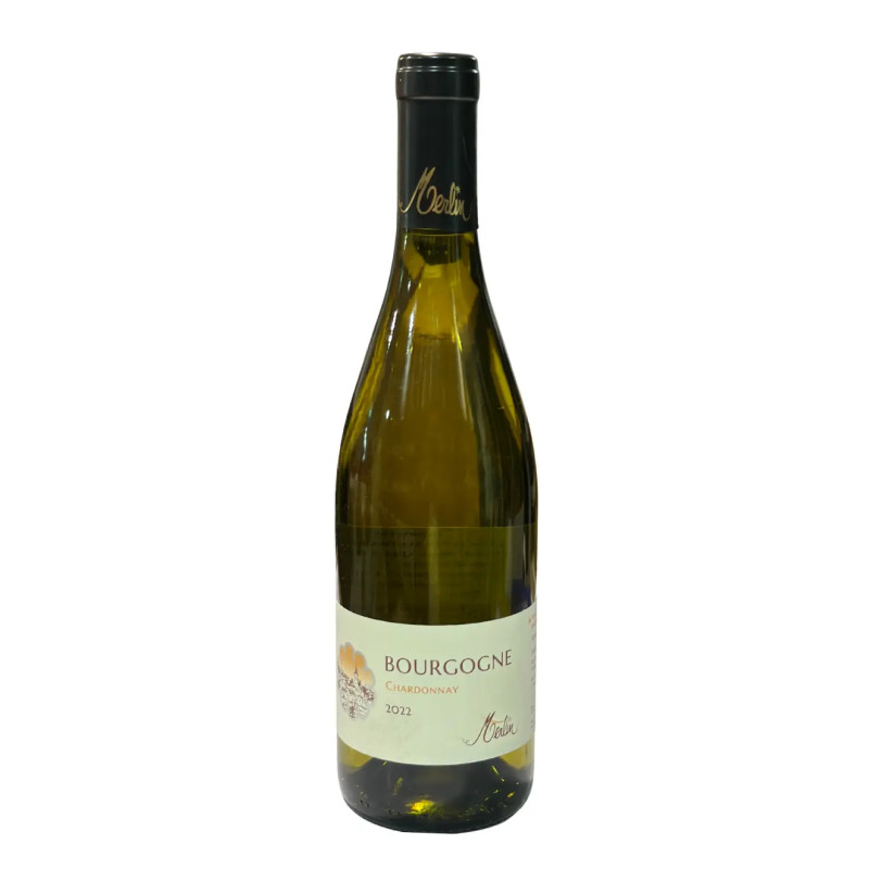 2022 Domaine Olivier Merlin Bourgogne Blanc 750ml