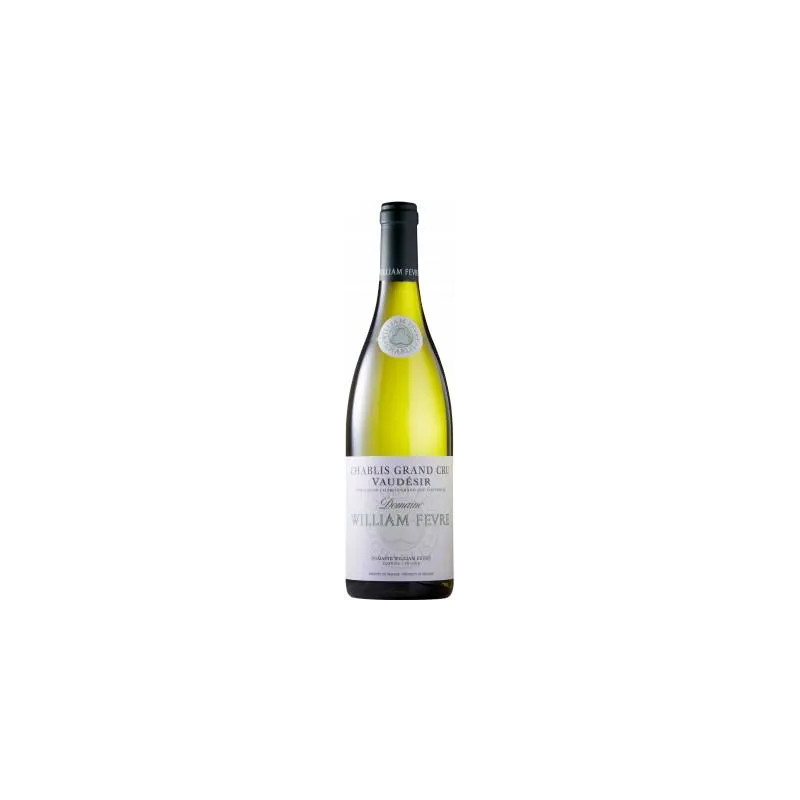 Domaine William Fevre - Chablis Grand Cru 'Vaudesir' - 2020