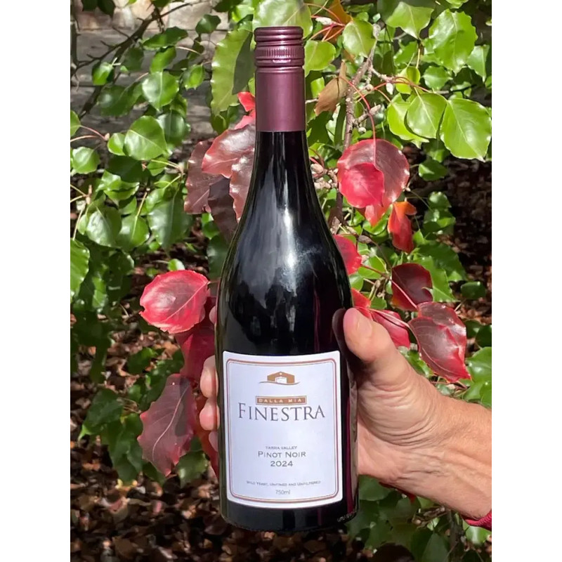 Finestra Pinot Noir 2021