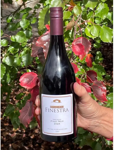 Finestra Pinot Noir 2021