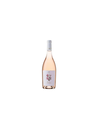 Vergelegen Florence Rose
