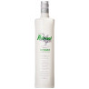 St Petroni Vermu Vermello Spanish White Vermouth 1l