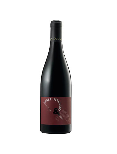 Domaine Pierre Usseglio & Fils Cotes Du Rhone 2022 750ml