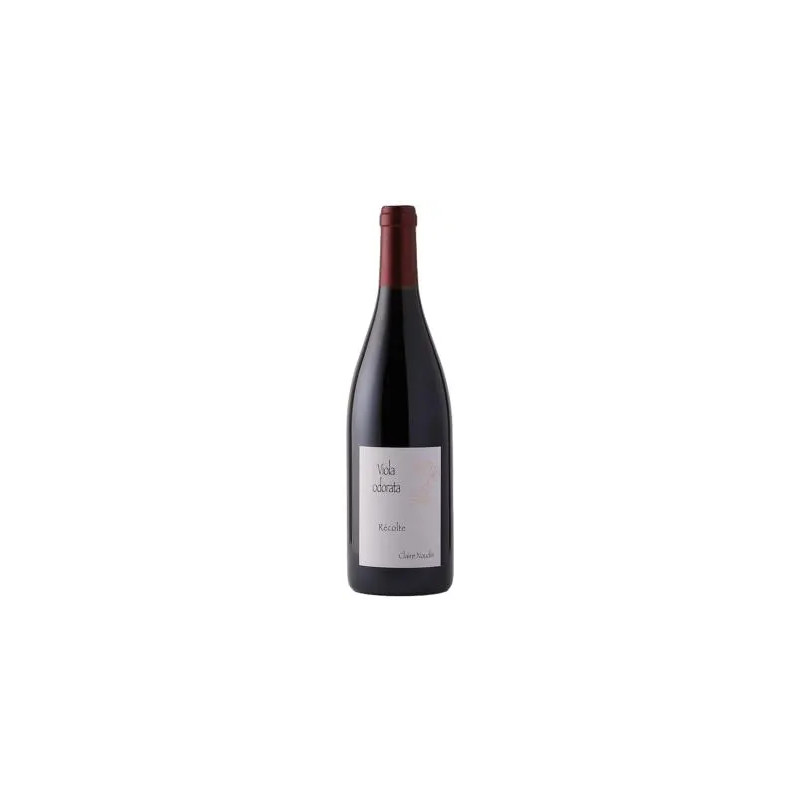Domaine Naudin-Ferrand Claire Naudin - Cote de Nuits-Villages Rouge 'Viola Odorata' - 2023