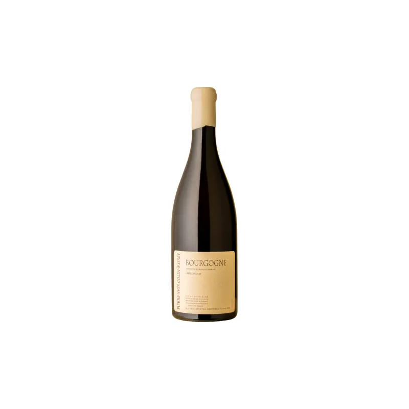 Pierre-Yves Colin-Morey - Bourgogne Blanc - 2023