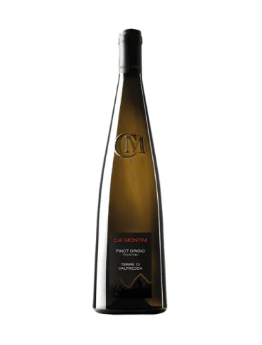 2021 Ca' Montini Pinot Grigio Terre Di Valfredda 750ml