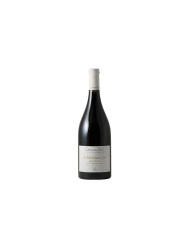 Domaine Jean Yves Bizot Echezeaux 2015