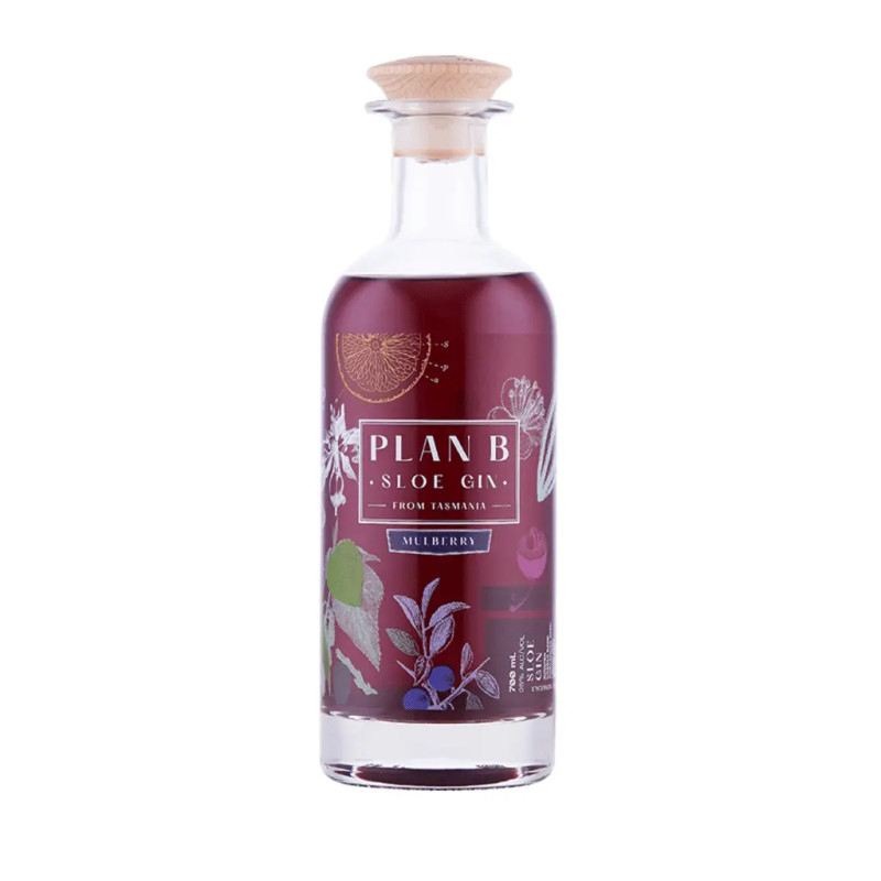 Plan B Sloe & Mulberry Gin 700ml