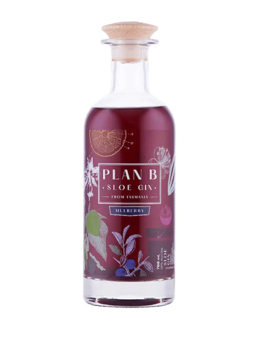 Plan B Sloe & Mulberry Gin 700ml