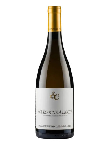 Domaine Sylvain Cathiard - Bourgogne Aligote - 2024