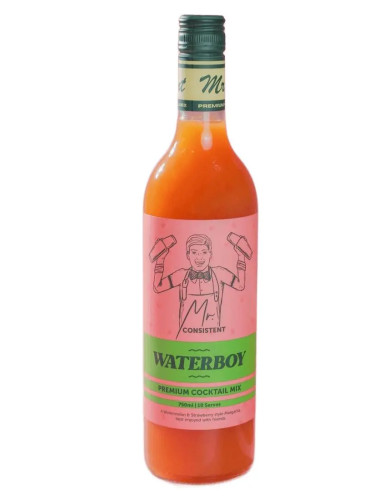 Mr Consistent WATERBOY Watermelon Margi COCKTAIL MIXER