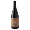 Domaine l'Anglore - Vin de France 'Terre d'ombre' - 2024