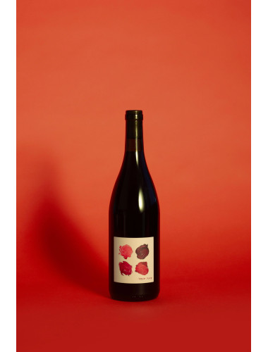 15 Minute Test Pots Otago Pinot Noir