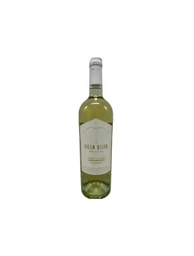 Terre D'Abruzzo Villa Diana Pecorino IGP