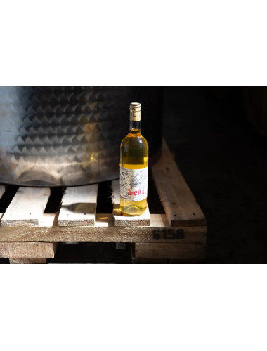 Delinquente Hell Organic Fiano Riverland