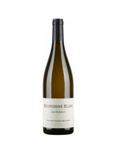Domaine Pierre Boisson - Bourgogne Blanc 'Les Herbeux' - 2020