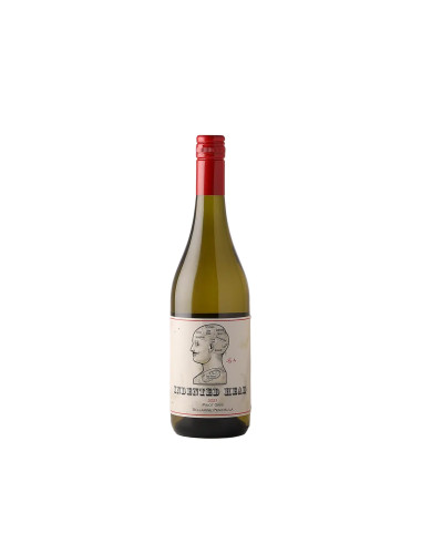 Indented Head Ellarine Peninsual Pinot Gris
