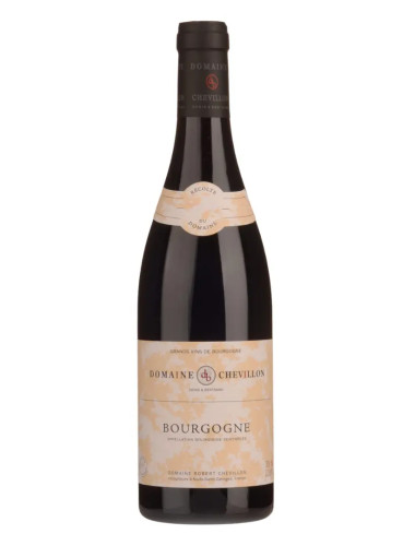 Domaine Robert Chevillon - Bourgogne Rouge - 2022