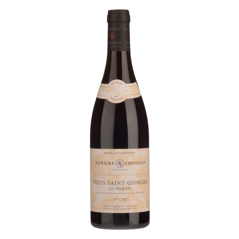 Domaine Robert Chevillon - Nuits-Saint-Georges 1er Cru 'Les Pruliers' - 2022