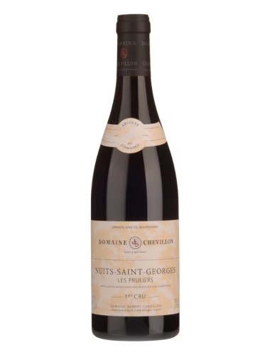 Domaine Robert Chevillon - Nuits-Saint-Georges 1er Cru 'Les Pruliers' - 2022