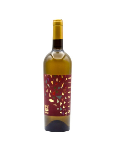Il Drago - Malvasia Doc Collio 2018 - Tuscany