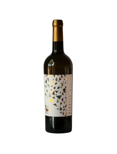 Il Drago - Ribolla Gialla 2020 - Tuscany