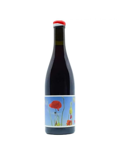 Ochota Barrels Home Pinot Noir 2023 750ml