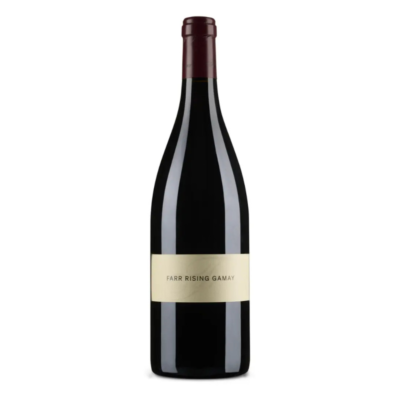 Farr Rising - Gamay - 2025