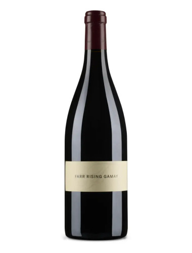 Farr Rising - Gamay - 2025