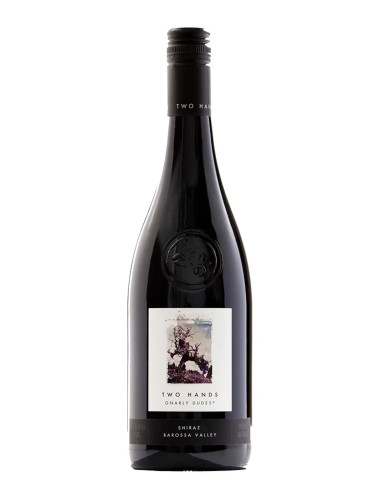 2024 Two Hands Gnarly Dudes Shiraz 750ml