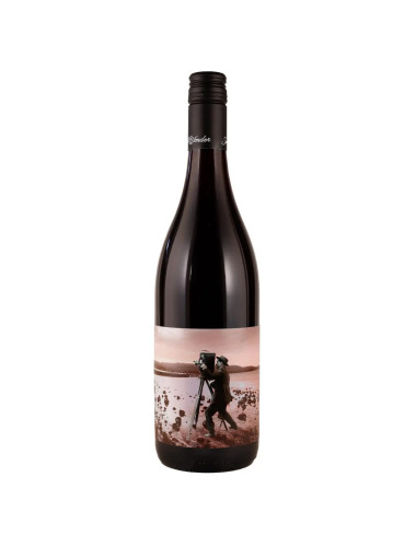 Small Wonder Landscape Pinot Noir