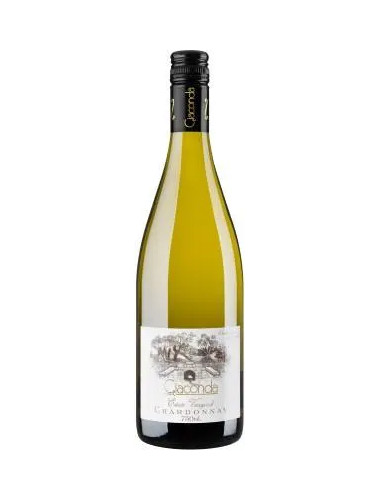 Giaconda - Estate Vineyard Chardonnay - 2023