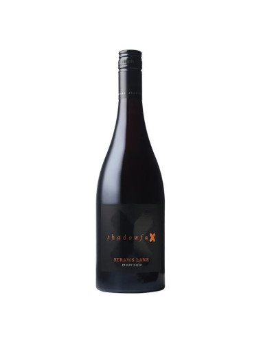 Shadowfax Sl Pinot 750ml