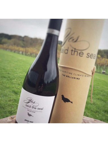 Yes Said The Seal Shiraz