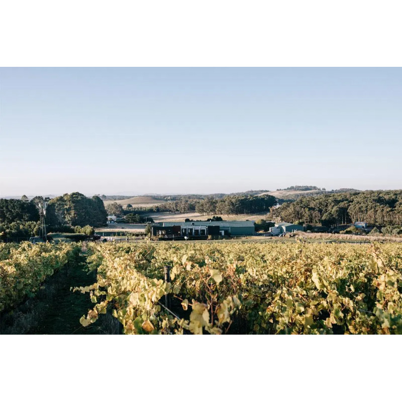 Passing Clouds Yea Pinot Noir 750ml