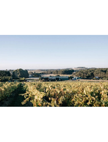 Passing Clouds Yea Pinot Noir 750ml