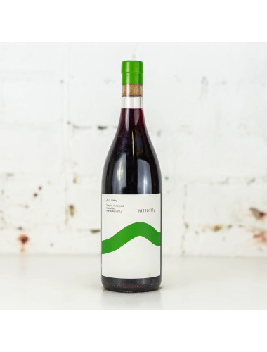 Hillbilly Gamay