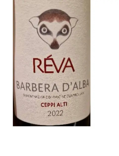 Reva Barbera d'alba Ceppi Alti 2022