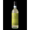 2024 IL Vignaiolo Pinot Grigio 750ml