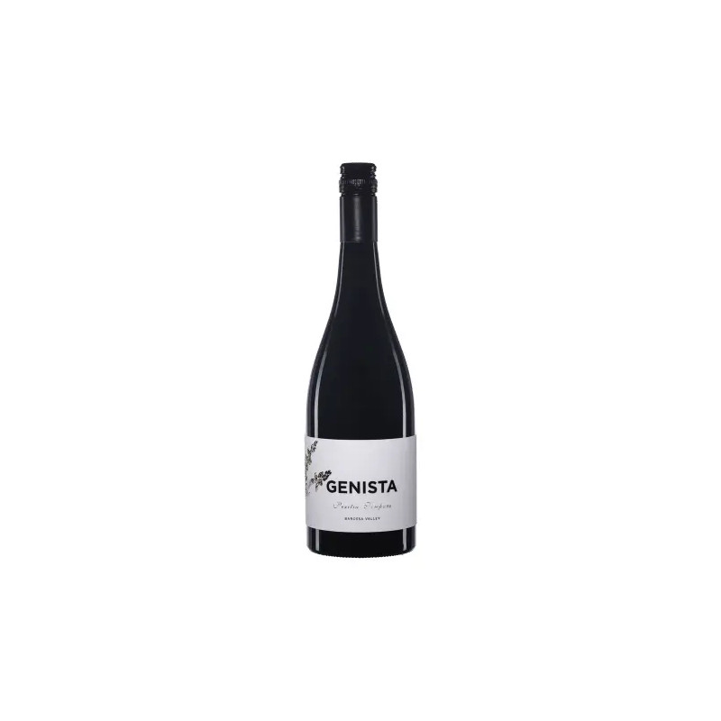 Genista Peritia Tempore Shiraz