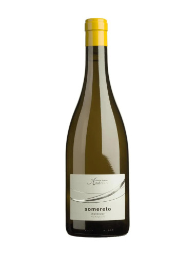 2024 Kellerei-Cantina Andrian Somereto Chardonnay 750ml