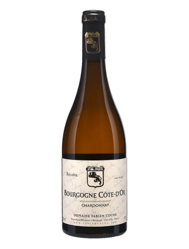 Domaine Fabien Coche - Bourgogne Blanc - 2023