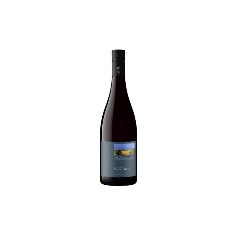 Coldstream Hills Reserve Pinot Noir 2019 6 Bottle Case