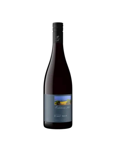 Coldstream Hills Reserve Pinot Noir 2019 6 Bottle Case