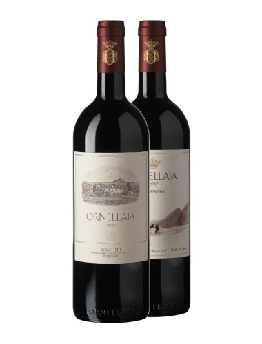 Tenuta Dell' Ornellaia - Bolgheri 'Ornellaia' Superiore Artist Edition DOC - 2013