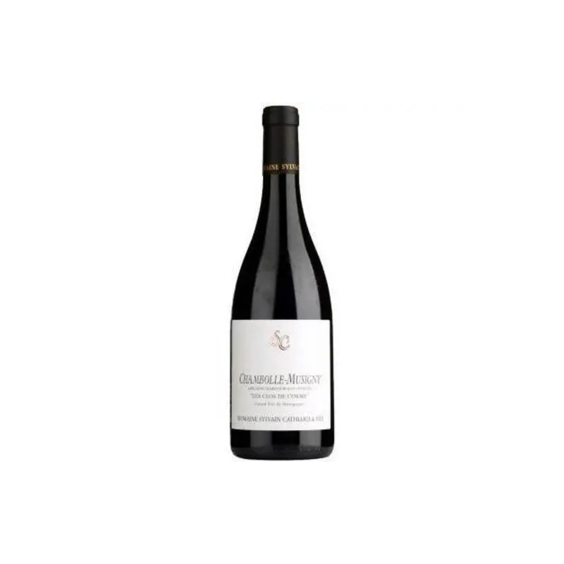 Domaine Sylvain Cathiard - Chambolle-Musigny 'Les Clos de l'Orme' - 2020